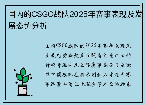 国内的CSGO战队2025年赛事表现及发展态势分析